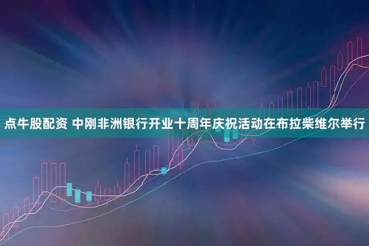 点牛股配资 中刚非洲银行开业十周年庆祝活动在布拉柴维尔举行