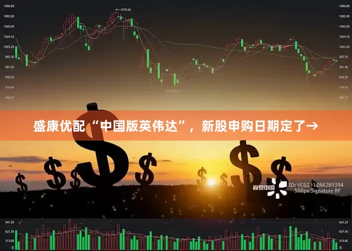盛康优配 “中国版英伟达”，新股申购日期定了→