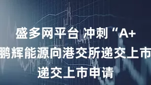 盛多网平台 冲刺“A+H” 鹏辉能源向港交所递交上市申请